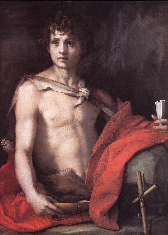 St John the Baptist, Andrea del Sarto